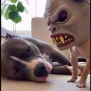 ヒメ日記 2025/12/14 09:15 投稿 真琴 デリヘル東京