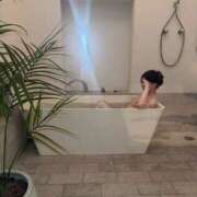 ヒメ日記 2025/12/25 22:31 投稿 真琴 デリヘル東京