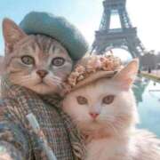 ヒメ日記 2026/01/10 06:15 投稿 真琴 デリヘル東京