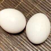 ヒメ日記 2026/01/16 11:15 投稿 真琴 デリヘル東京