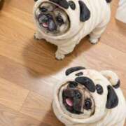 ヒメ日記 2026/01/24 05:30 投稿 真琴 デリヘル東京