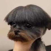 ヒメ日記 2026/01/29 08:15 投稿 真琴 デリヘル東京