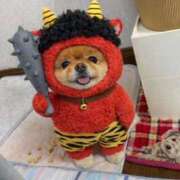 ヒメ日記 2026/01/30 00:51 投稿 真琴 デリヘル東京