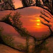 ヒメ日記 2026/01/30 04:15 投稿 真琴 デリヘル東京