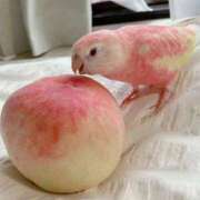 ヒメ日記 2026/01/30 06:45 投稿 真琴 デリヘル東京