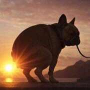 ヒメ日記 2026/01/31 09:15 投稿 真琴 デリヘル東京