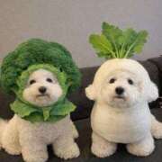 ヒメ日記 2026/02/01 09:15 投稿 真琴 デリヘル東京