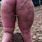 ヒメ日記 2026/02/01 23:52 投稿 真琴 デリヘル東京