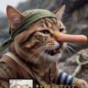 ヒメ日記 2026/02/03 04:52 投稿 真琴 デリヘル東京