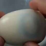 ヒメ日記 2026/02/03 05:51 投稿 真琴 デリヘル東京