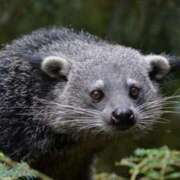 ヒメ日記 2026/02/03 06:45 投稿 真琴 デリヘル東京