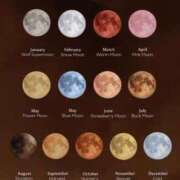 ヒメ日記 2026/02/03 09:45 投稿 真琴 デリヘル東京