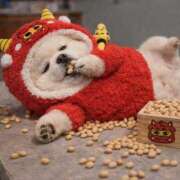 ヒメ日記 2026/02/04 03:59 投稿 真琴 デリヘル東京