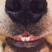 ヒメ日記 2026/02/05 05:45 投稿 真琴 デリヘル東京