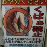 ヒメ日記 2026/02/07 02:45 投稿 真琴 デリヘル東京