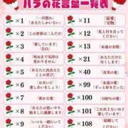 ヒメ日記 2026/02/07 22:45 投稿 真琴 デリヘル東京