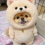 ヒメ日記 2026/02/09 02:33 投稿 真琴 デリヘル東京