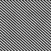 ヒメ日記 2026/02/11 02:30 投稿 真琴 デリヘル東京