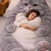 ヒメ日記 2026/02/12 03:30 投稿 真琴 デリヘル東京