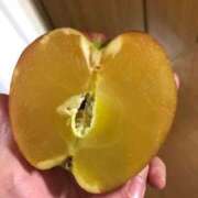 ヒメ日記 2026/02/12 12:32 投稿 真琴 デリヘル東京