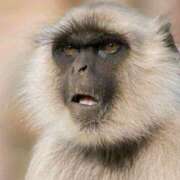 ヒメ日記 2026/02/14 03:45 投稿 真琴 デリヘル東京