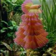 ヒメ日記 2026/02/14 09:45 投稿 真琴 デリヘル東京