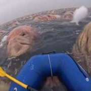 ヒメ日記 2026/02/14 20:45 投稿 真琴 デリヘル東京