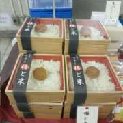 ヒメ日記 2026/02/16 05:38 投稿 真琴 デリヘル東京