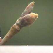 ヒメ日記 2026/02/16 06:45 投稿 真琴 デリヘル東京