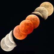 ヒメ日記 2026/02/18 03:15 投稿 真琴 デリヘル東京