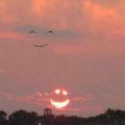 ヒメ日記 2026/02/19 04:45 投稿 真琴 デリヘル東京