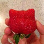 ヒメ日記 2026/02/19 06:45 投稿 真琴 デリヘル東京