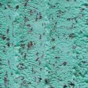 ヒメ日記 2026/02/19 21:45 投稿 真琴 デリヘル東京