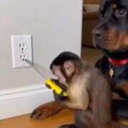 ヒメ日記 2026/02/19 22:43 投稿 真琴 デリヘル東京