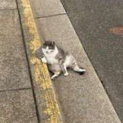 ヒメ日記 2026/02/21 04:45 投稿 真琴 デリヘル東京