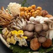 ヒメ日記 2026/02/22 03:15 投稿 真琴 デリヘル東京