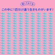 ヒメ日記 2026/02/22 06:15 投稿 真琴 デリヘル東京