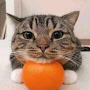 ヒメ日記 2026/02/22 09:15 投稿 真琴 デリヘル東京