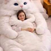 ヒメ日記 2026/02/23 06:15 投稿 真琴 デリヘル東京