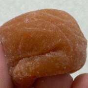 ヒメ日記 2026/02/25 11:15 投稿 真琴 デリヘル東京