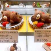 ヒメ日記 2026/02/25 19:55 投稿 真琴 デリヘル東京