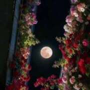 ヒメ日記 2026/02/27 03:15 投稿 真琴 デリヘル東京