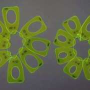 ヒメ日記 2026/02/28 00:45 投稿 真琴 デリヘル東京