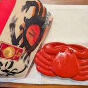 ヒメ日記 2026/02/28 05:15 投稿 真琴 デリヘル東京