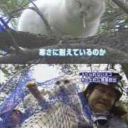 ヒメ日記 2026/03/01 05:42 投稿 真琴 デリヘル東京