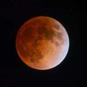 ヒメ日記 2026/03/03 20:38 投稿 真琴 デリヘル東京