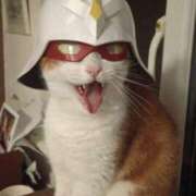 ヒメ日記 2026/03/04 19:45 投稿 真琴 デリヘル東京