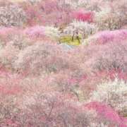 ヒメ日記 2026/03/04 20:45 投稿 真琴 デリヘル東京