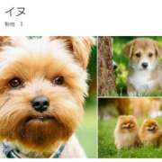 ヒメ日記 2026/03/06 23:31 投稿 真琴 デリヘル東京