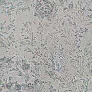 ヒメ日記 2026/03/10 01:30 投稿 真琴 デリヘル東京